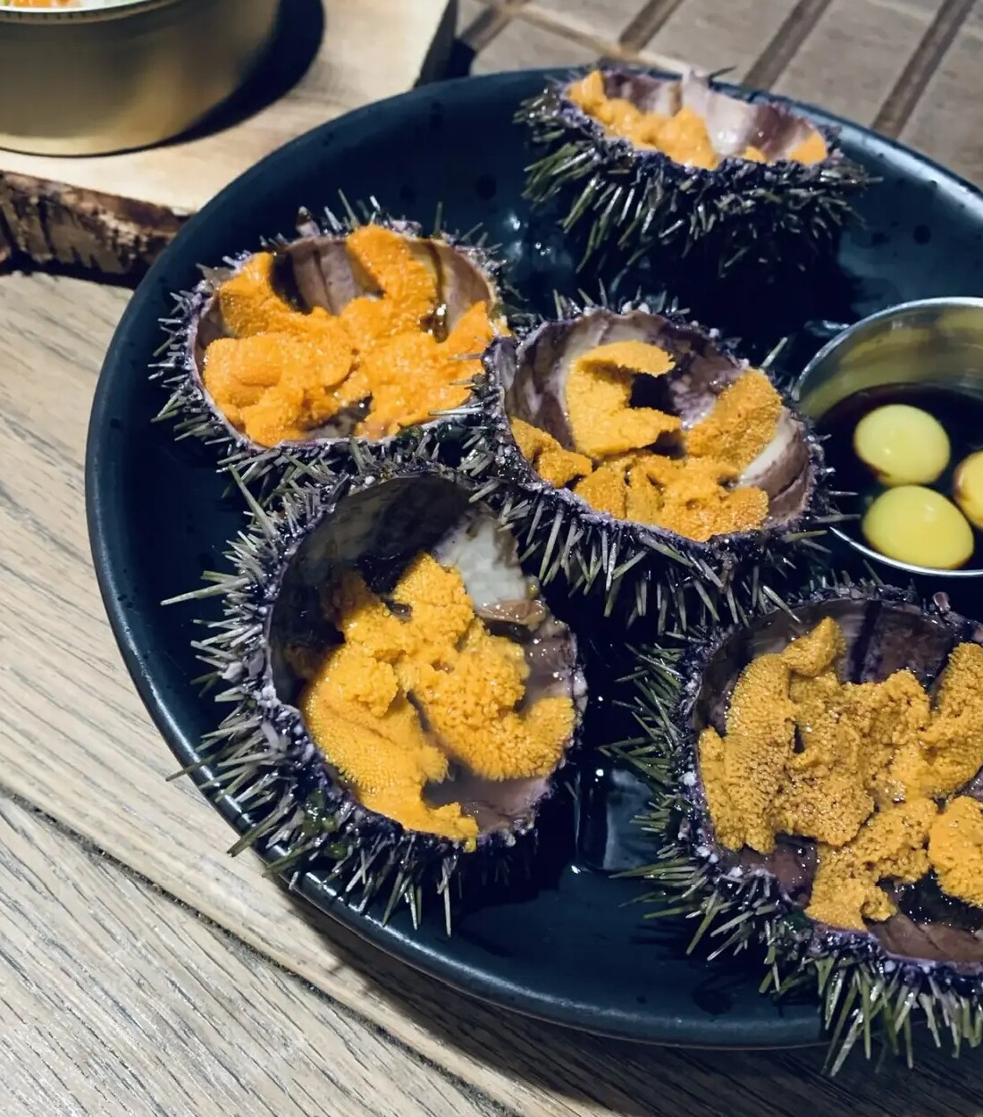 Морские ежи и блюда северной кухни в Мурманской области